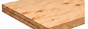 Bracing Plywood F22 — TMR Timber, Milperra Sydney